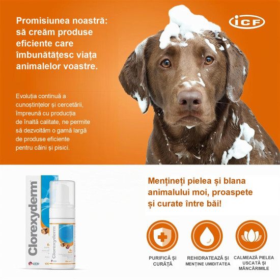 Spumă Antiseptică pentru Câini și Pisici Clorexyderm , 100 ml – ICF